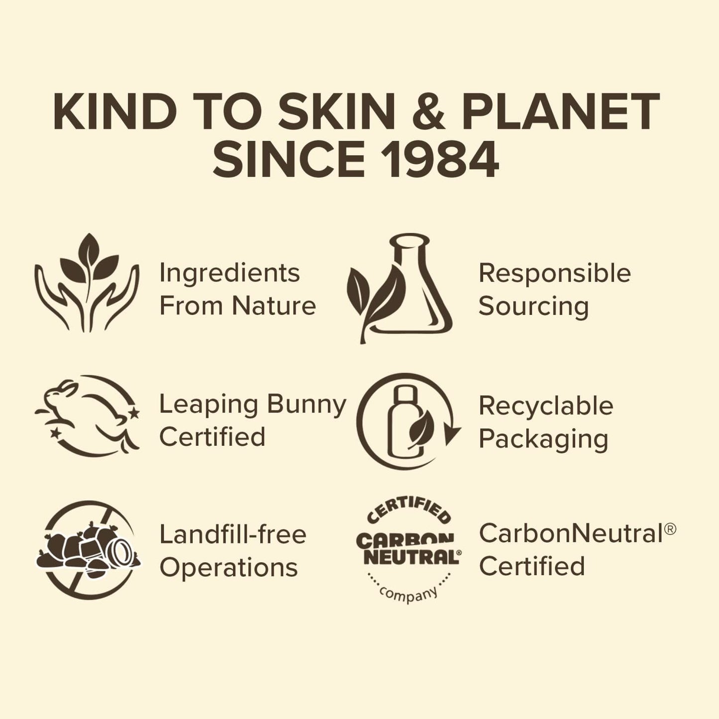 Burt's Bees Goodness Glows Tinted Moisturizer - 2060 Chestnut