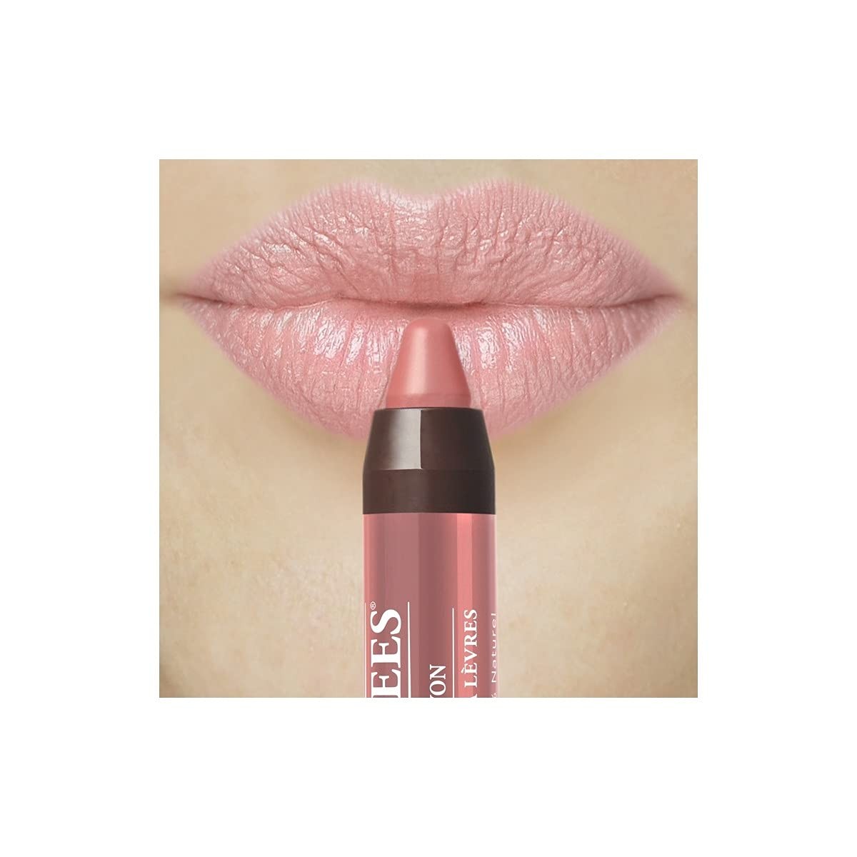 Burt's Bees OUTBACK OASIS Gloss Lip Crayon 100% Natural 401 NEW SEALED