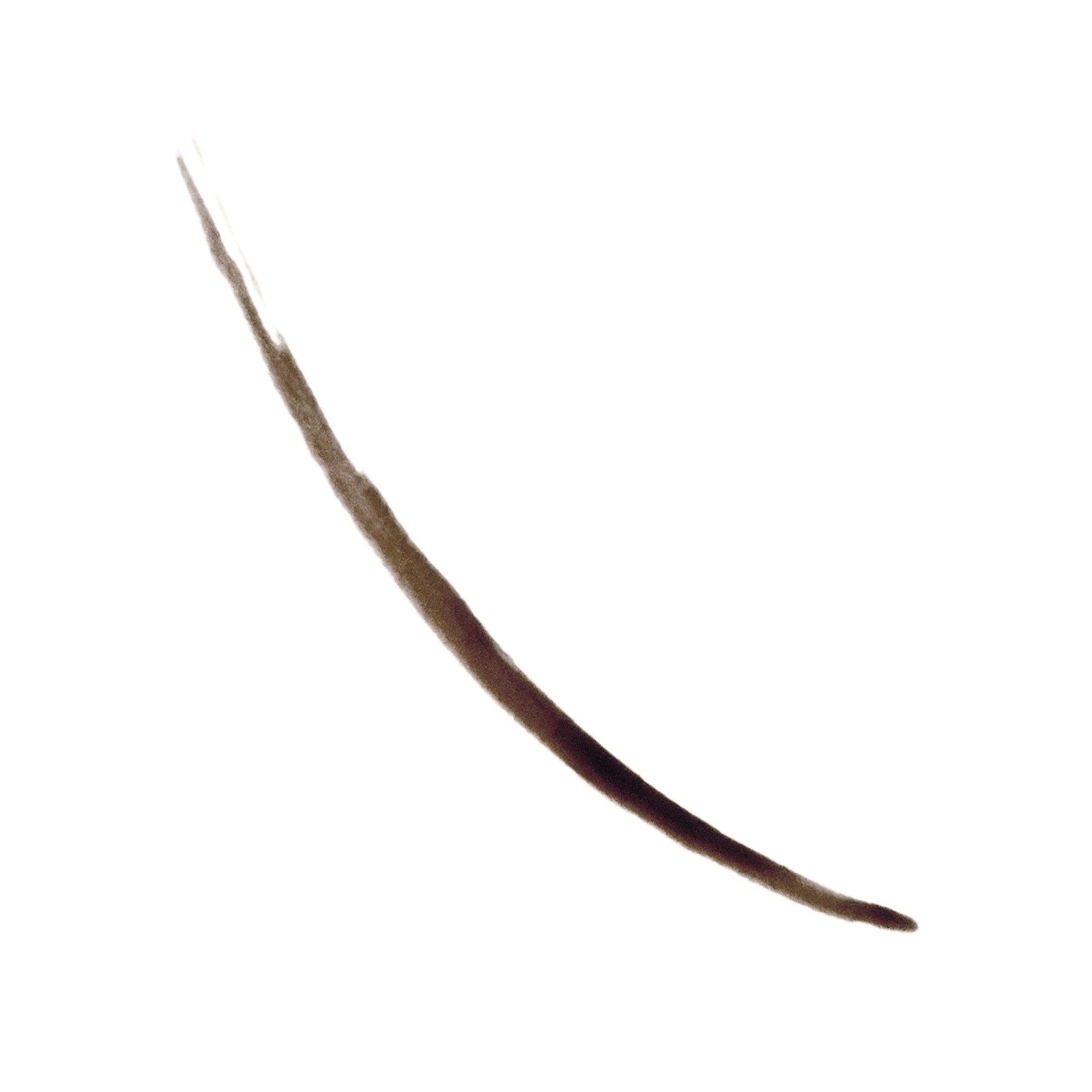 2 PACK - Revlon ColorStay Semi-Permanent Brow Ink - 355 Dark Brown Ink