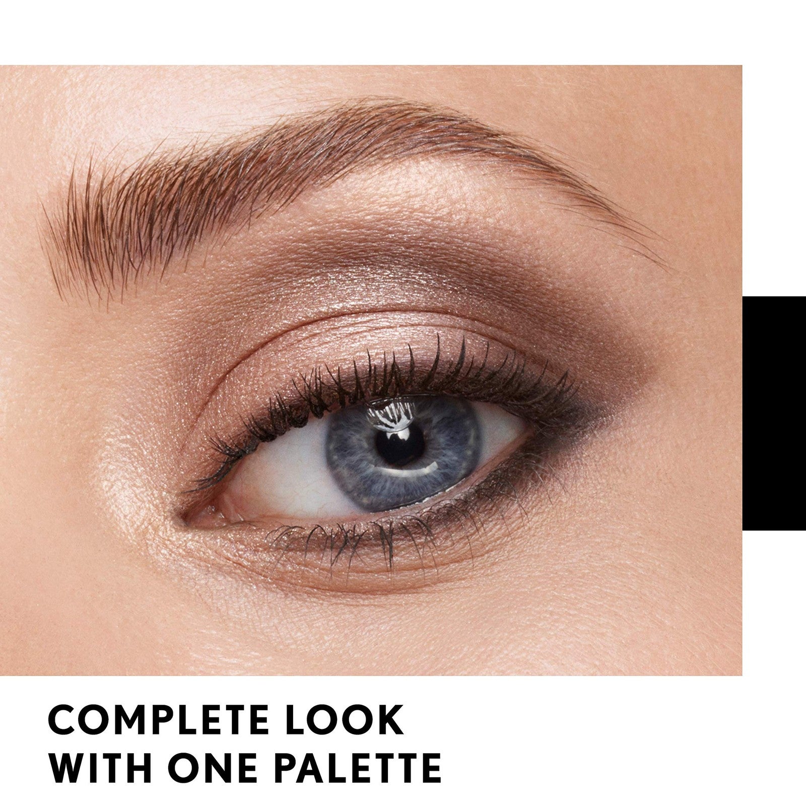 2 PACK - Covergirl Trunaked Eyeshadow Quad Palette 740 